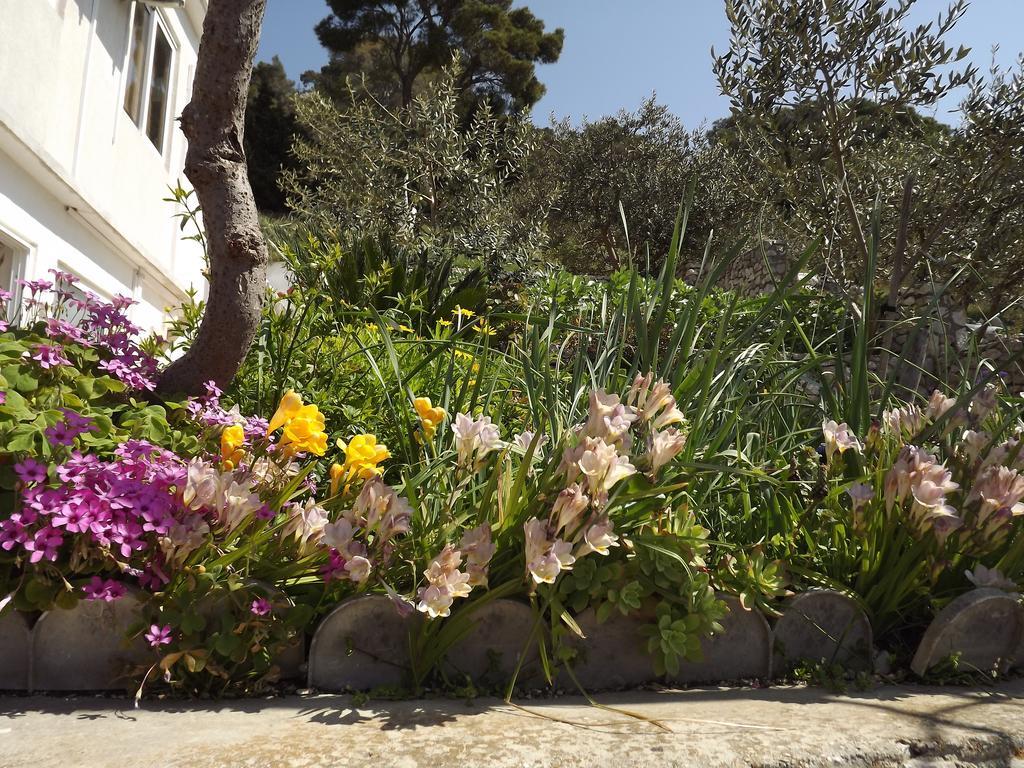 Guest House Vuljan Hvar Town Dış mekan fotoğraf
